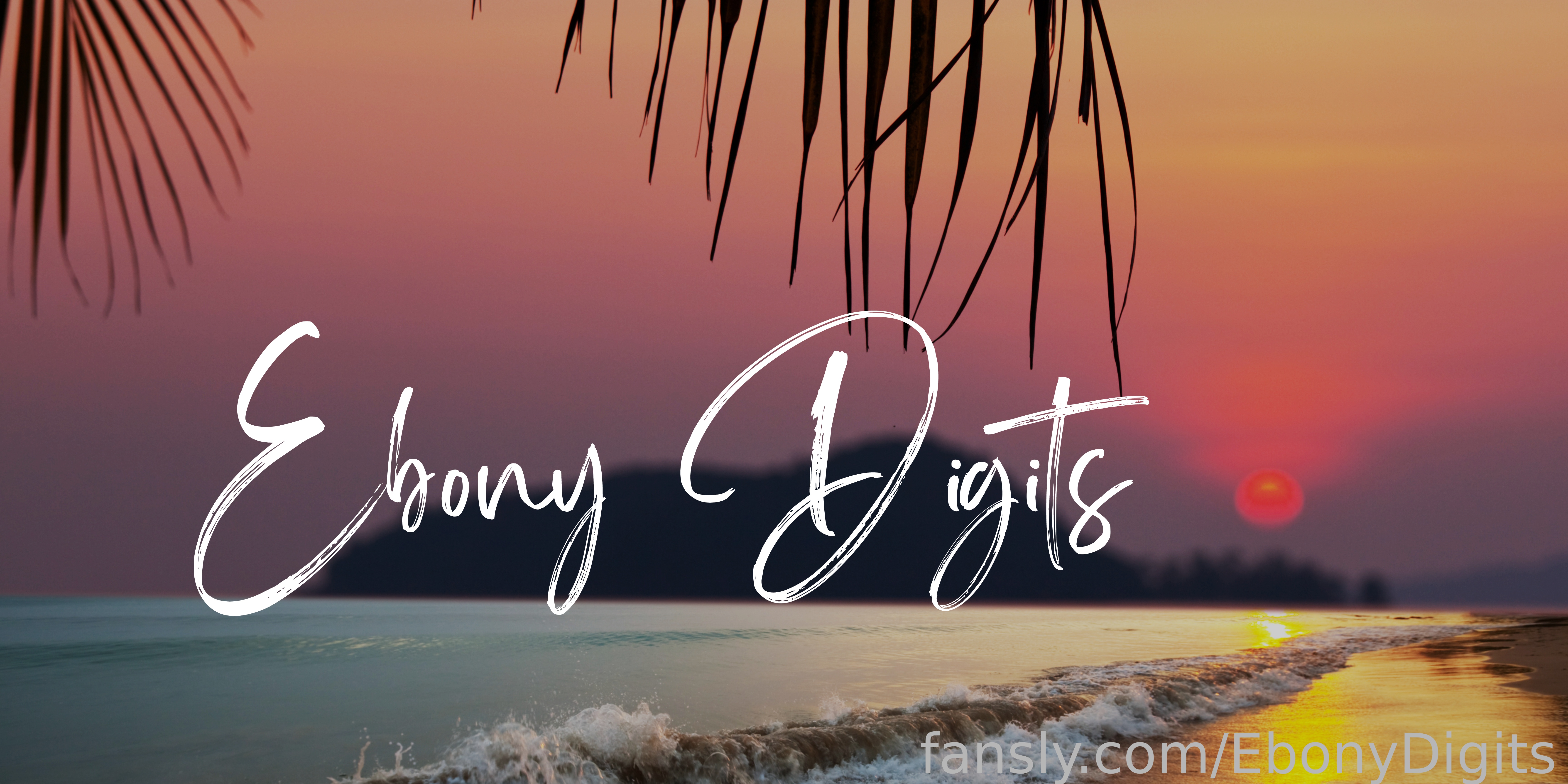 EbonyDigits banner