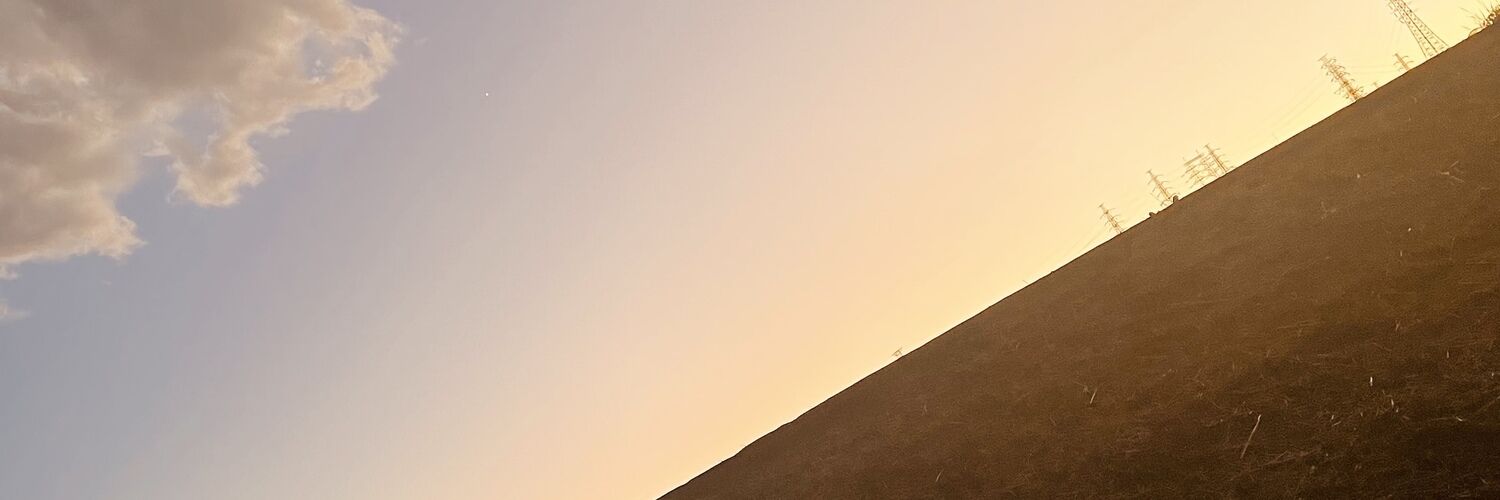 ♻️RION♻️ banner