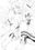 来須眠 — Fantia preview