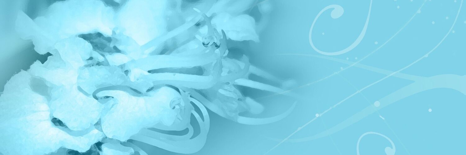 月宮 白雪 banner