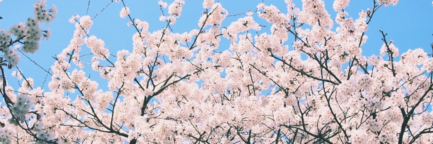 新田エリオ banner