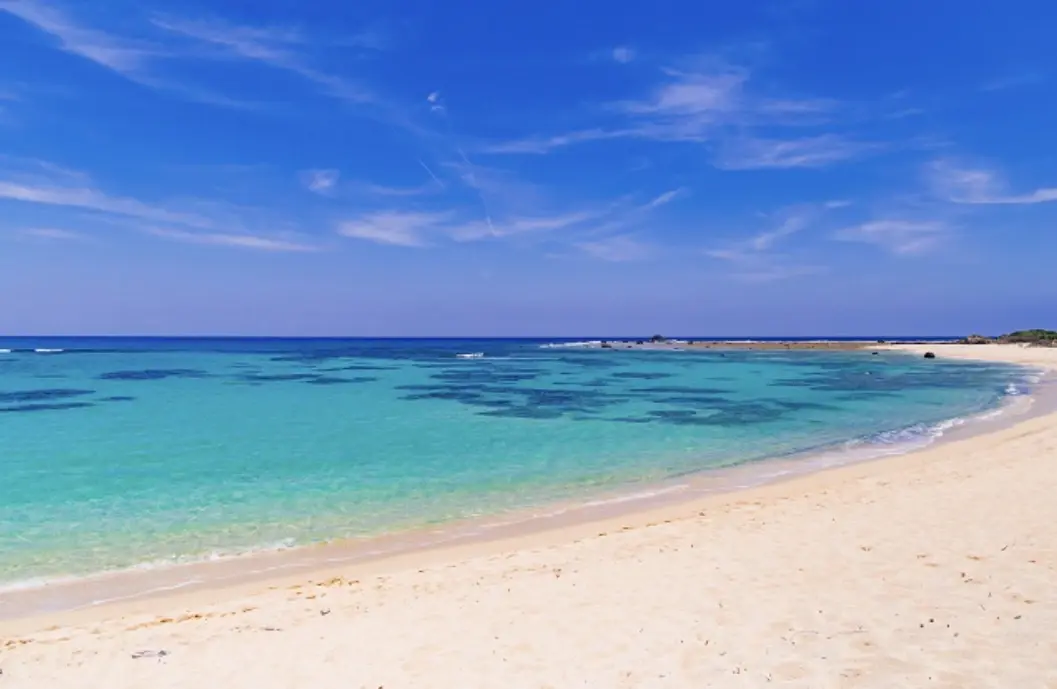 macochannel banner