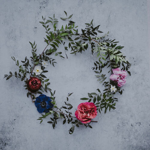 玲衣🥀 banner